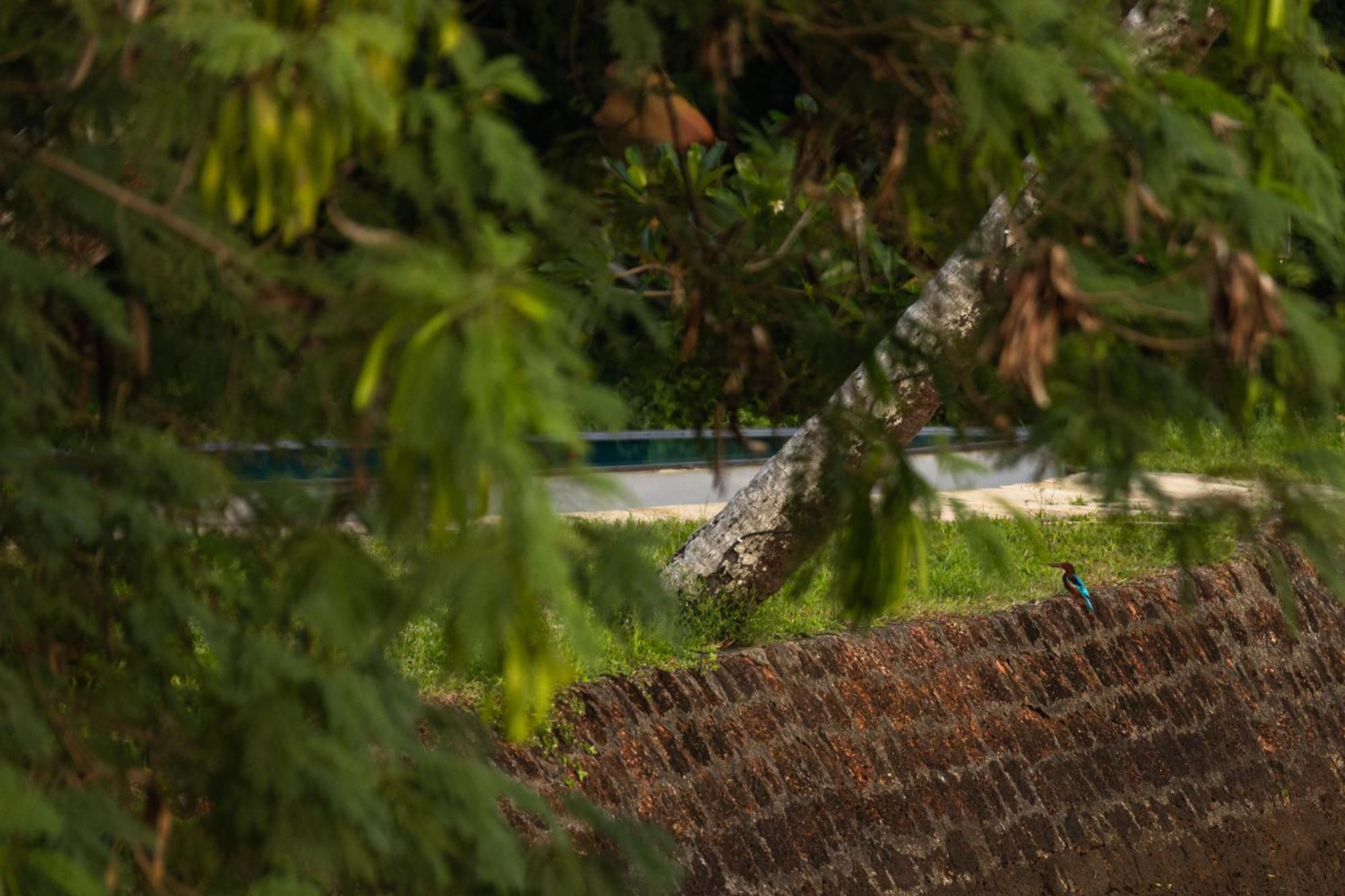 Cranganor History Cafe & Riverside Chateau North Paravur Bagian luar foto